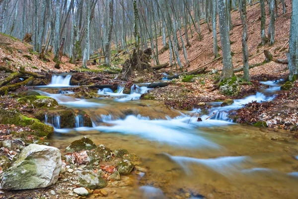 Small river in a mountain canyon — Stock Photo, Image