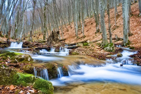 Pequeno rio em um desfiladeiro de montanha — Fotografia de Stock