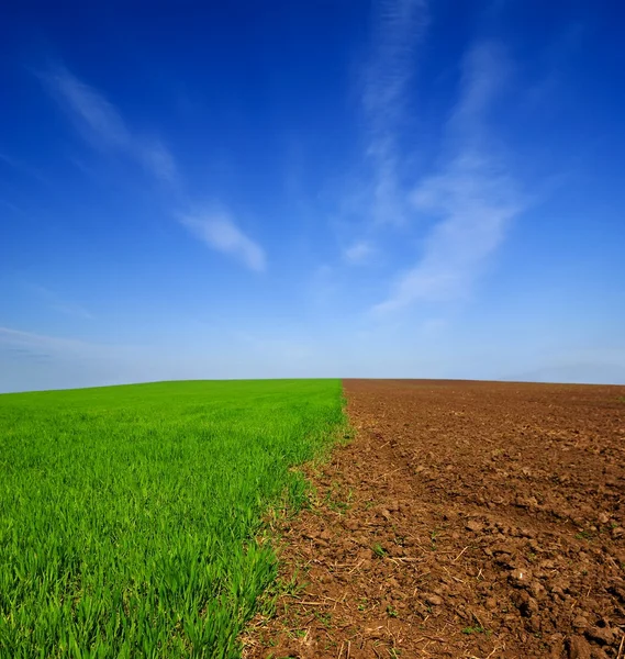 stock image Summer ploughland