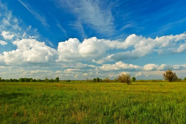 Schöne ländliche Landschaft — Stockfoto