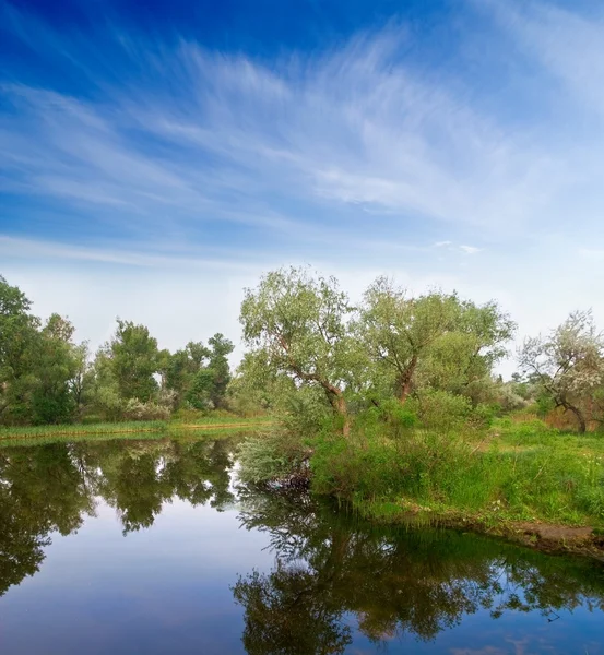 Tichý letní řeka — Stock fotografie