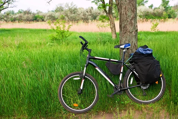 잔디에서 자전거 — 스톡 사진