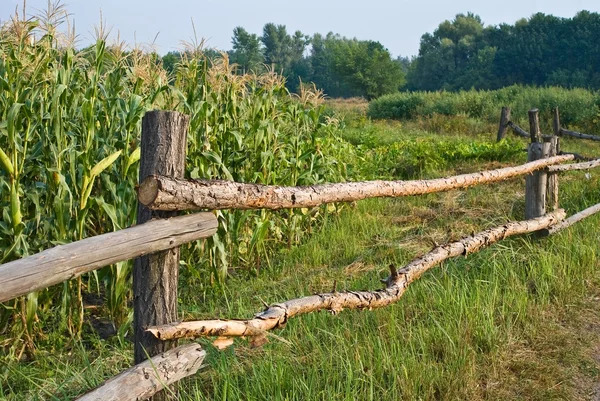 Valla de madera en un campo rural —  Fotos de Stock