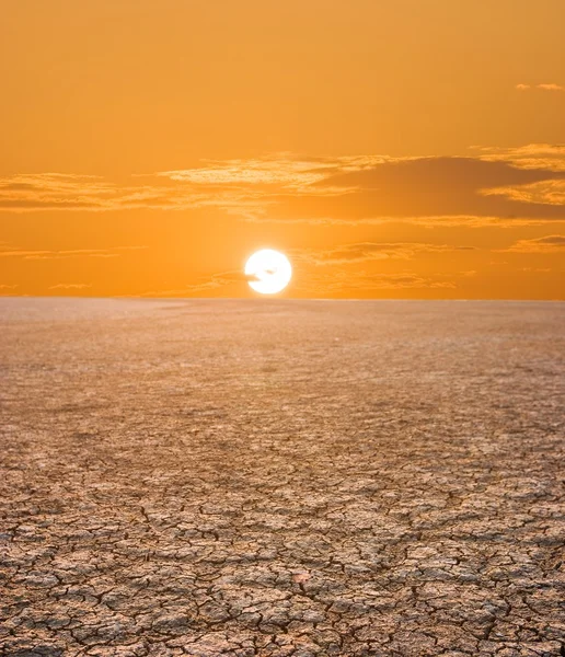 砂漠の淡い夕焼け — ストック写真
