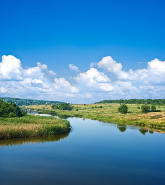 Verão paisagem fluvial — Fotografia de Stock