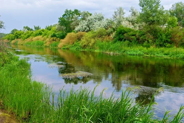 Літня річка — стокове фото