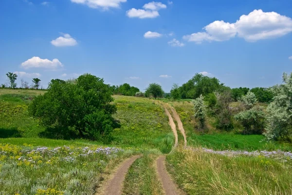 Ground road in a hills — Stock Photo, Image