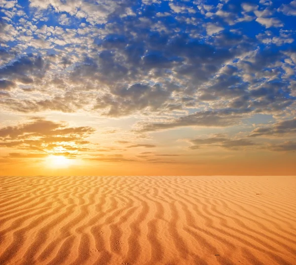 Sunset in a desert — Stock Photo, Image