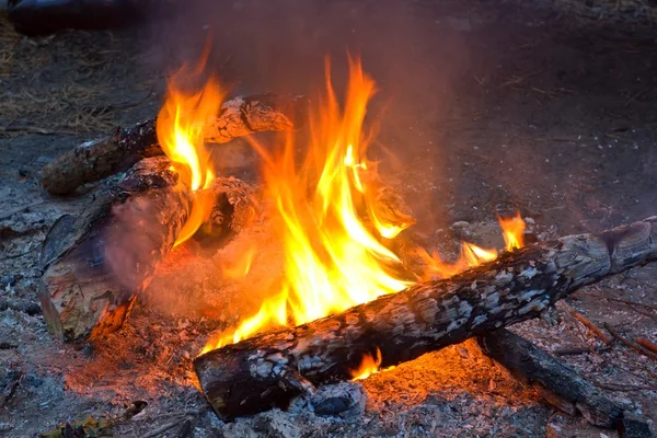 Fuego en un bosque — Foto de Stock