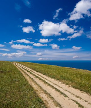Toprak yolda bir bozkır