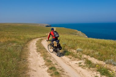 Rider among a steppe clipart