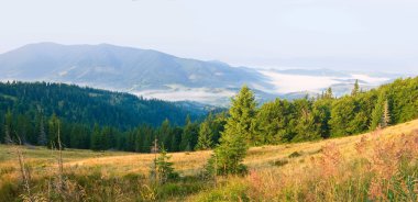 karpatian dağ panorama