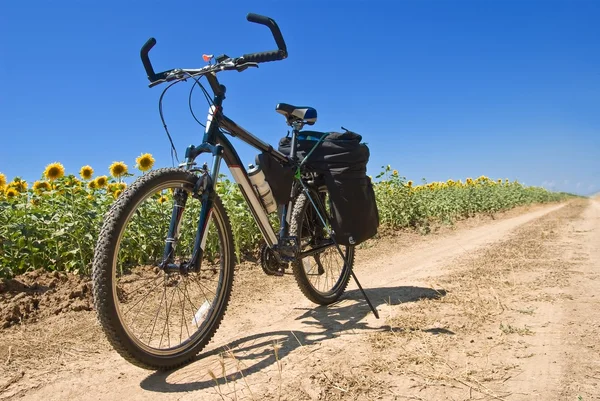Туристический велосипед на дороге — стоковое фото