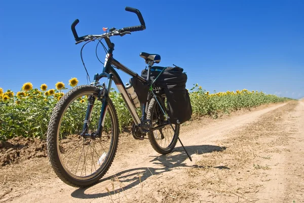 Touristisches Fahrrad auf der Straße — Stockfoto