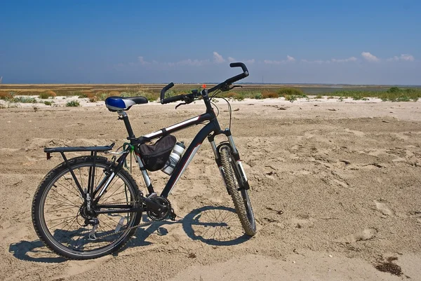 Cykel bland en sandig öken — Stockfoto