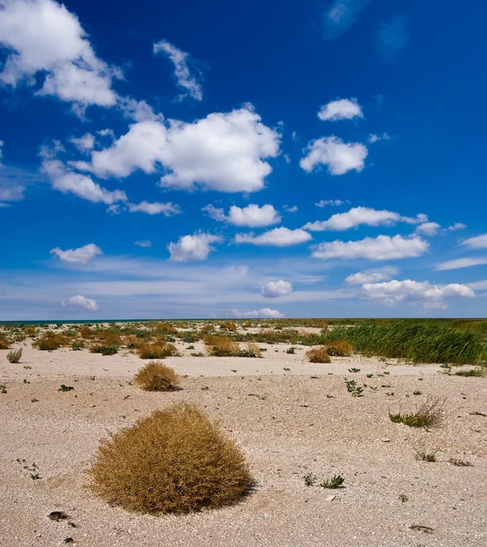 Desierto arenoso seco — Foto de Stock