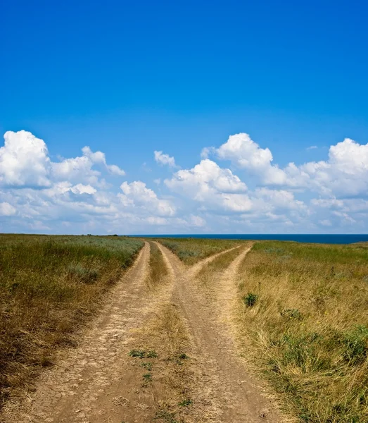 Steppe road — Stock Photo, Image