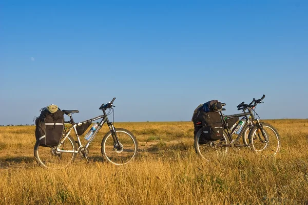 Два велосипеда в степи — стоковое фото