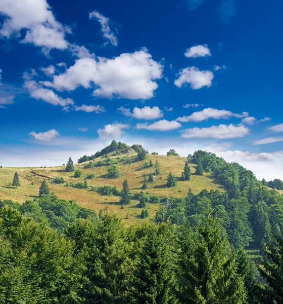 Зеленая лесная гора — стоковое фото