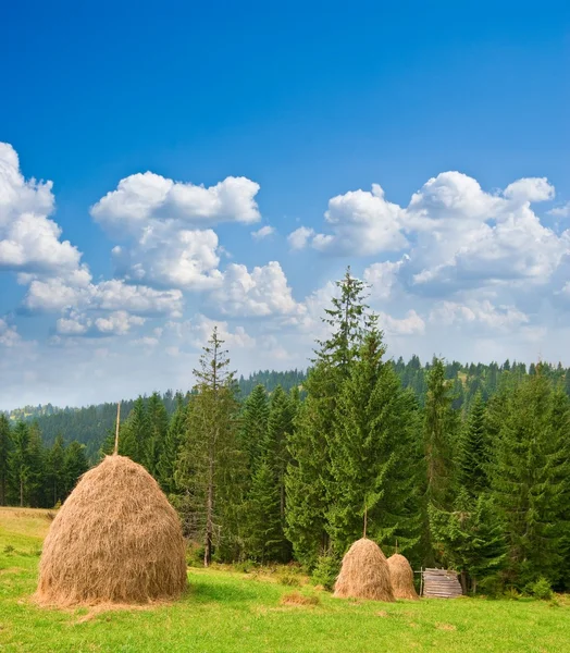 Haystacks en un pastizal de montaña — Foto de Stock