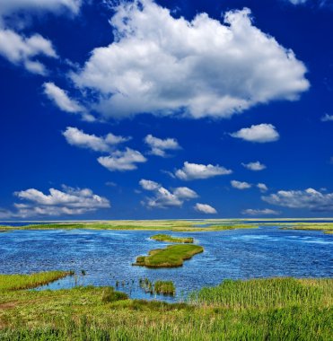 Blue lake in a steppe at the summer clipart