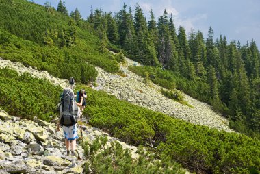 bir dağ yamacında turizm grubu