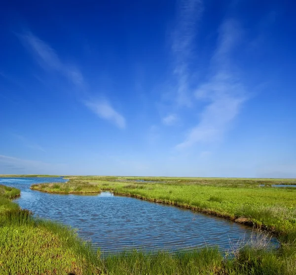 Lago azul entre campos verdes — Fotografia de Stock
