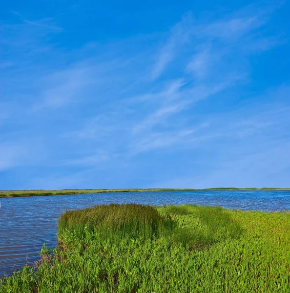 Blauer See und grünes Feld — Stockfoto