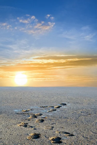 Pôr do sol à beira-mar seca — Fotografia de Stock