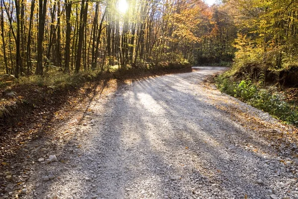 Jesień biały drogi — Zdjęcie stockowe