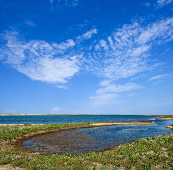푸른 여름 호수 — 스톡 사진