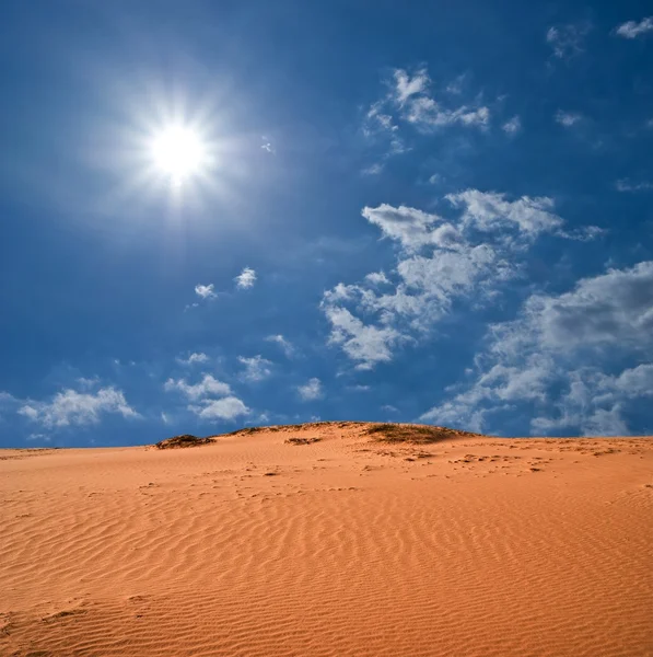 Жаркий день в пустыне — стоковое фото
