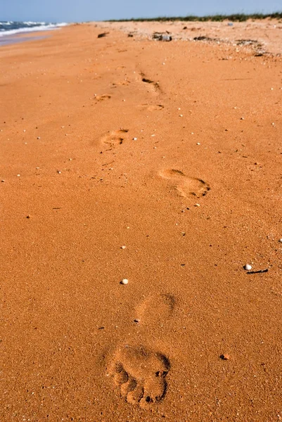 Human track at the sea coast — Stock Photo, Image