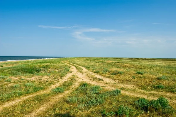 Weg in een groene steppe — Stockfoto