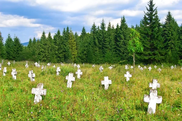 Старое кладбище на лесной поляне — стоковое фото