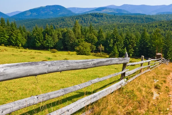 Дерев'яний паркан на гірському пасовищі — стокове фото