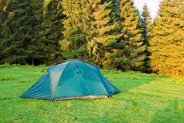 Orman glade, sabah üzerinde yeşil turistik çadır — Stok fotoğraf