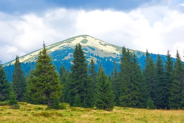 Cima de la montaña sobre un bosque verde — Foto de Stock