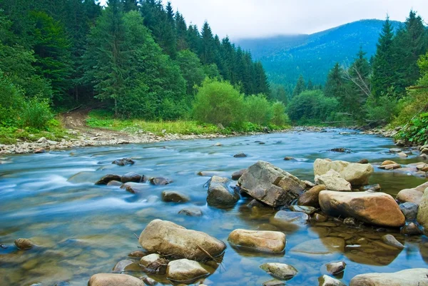 Mountain river in a mist — Stock Photo, Image
