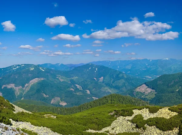 Panorama da montanha do Carpatian — Fotografia de Stock