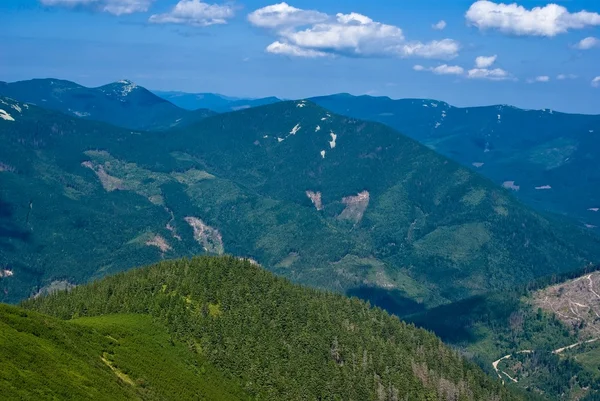 Πράσινο karpatian βουνά — Φωτογραφία Αρχείου