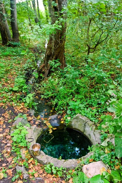 Μικρό ποτάμι σε ένα δάσος — Φωτογραφία Αρχείου