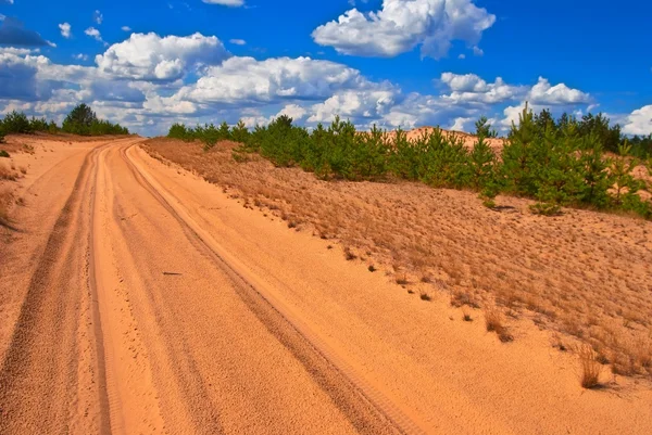 Road in a desert — Stock Photo, Image