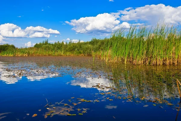 Облака, отраженные в летнем озере — стоковое фото