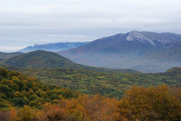 Sonbahar dağları sisli — Stok fotoğraf
