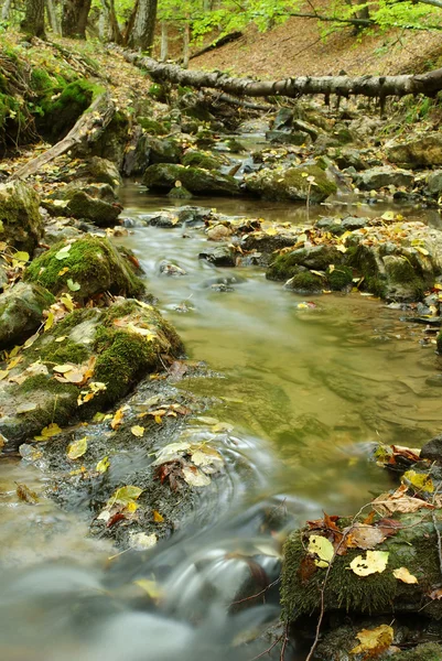 Beautiful autumn river — Stock Photo, Image