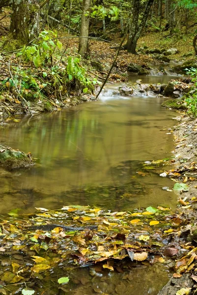 Тихая река в осеннем лесу — стоковое фото