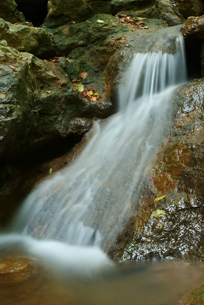 Kleine brook en natte stenen — Stockfoto