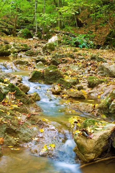 Autumn river — Stock Photo, Image