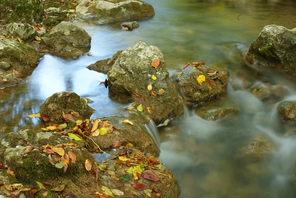 Río tranquilo otoño —  Fotos de Stock